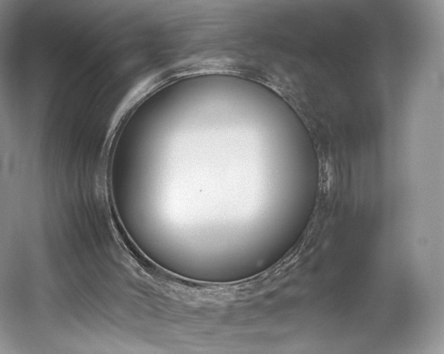 X0000061720004200512021351