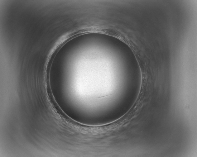 X0000061720006200512021351