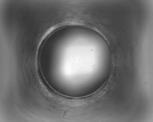 X0000061720008200512021351