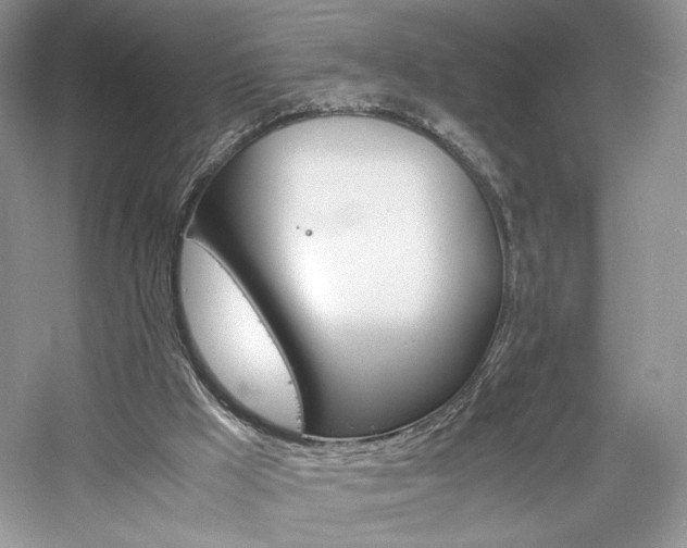 X0000061720009200512021351
