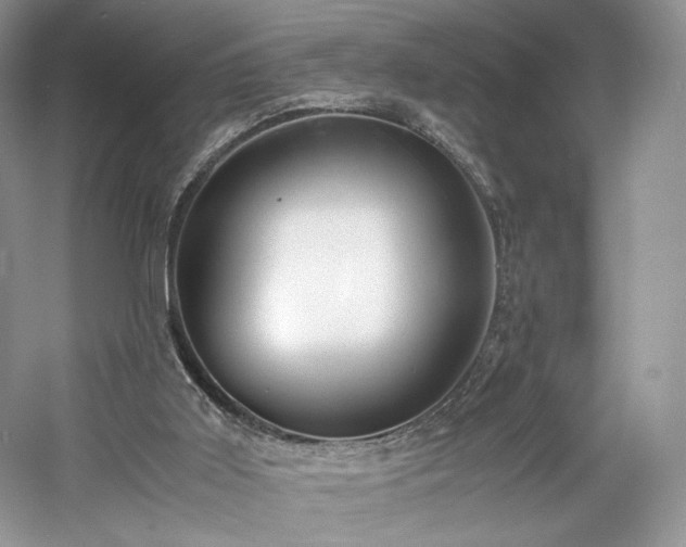 X0000061720011200512021351
