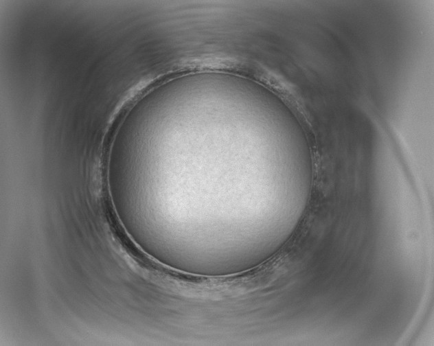 X0000061720012200512021351