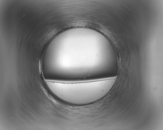 X0000061720013200512021351
