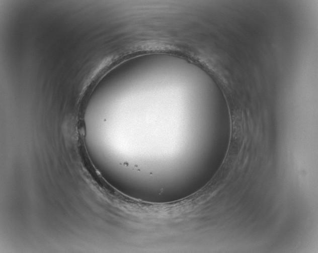X0000061720015200512021351