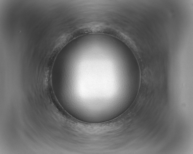 X0000061720018200512021351