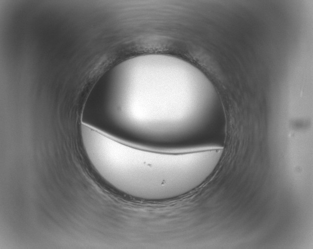 X0000061720021200512021351