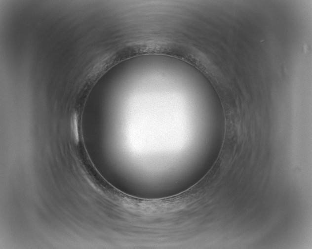 X0000061720022200512021351