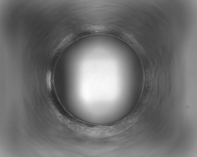 X0000061720024200512021351