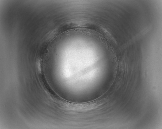 X0000061720026200512021351