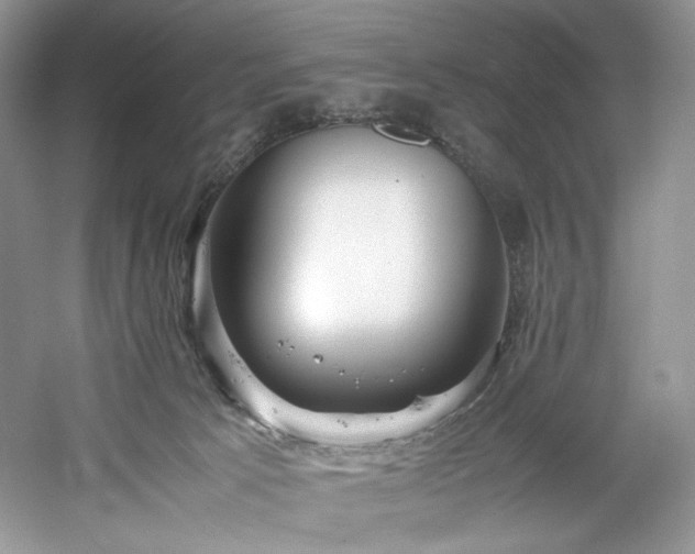 X0000061720033200512021351