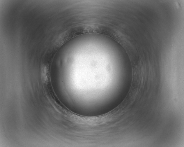 X0000061720038200512021351