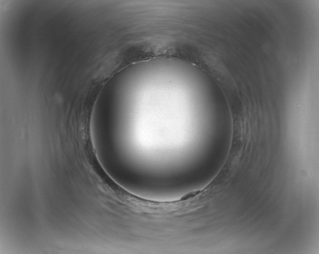 X0000061720039200512021351