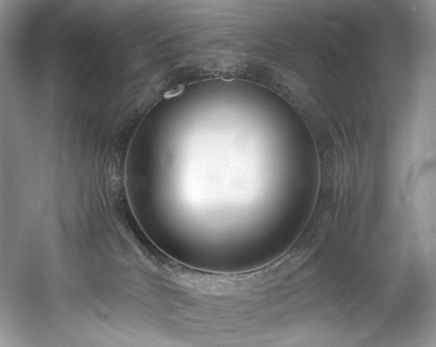 X0000061720040200512021351