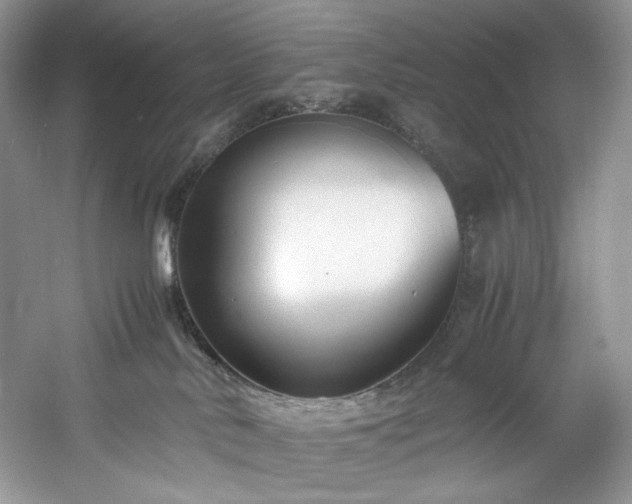 X0000061720042200512021351