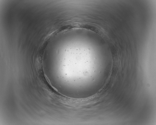X0000061720043200512021351