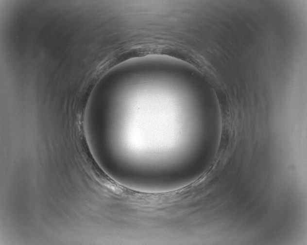 X0000061720045200512021351