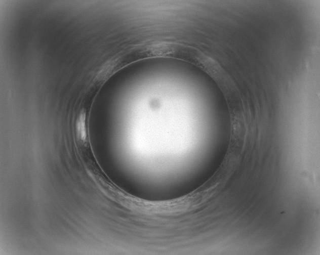 X0000061720046200512021351