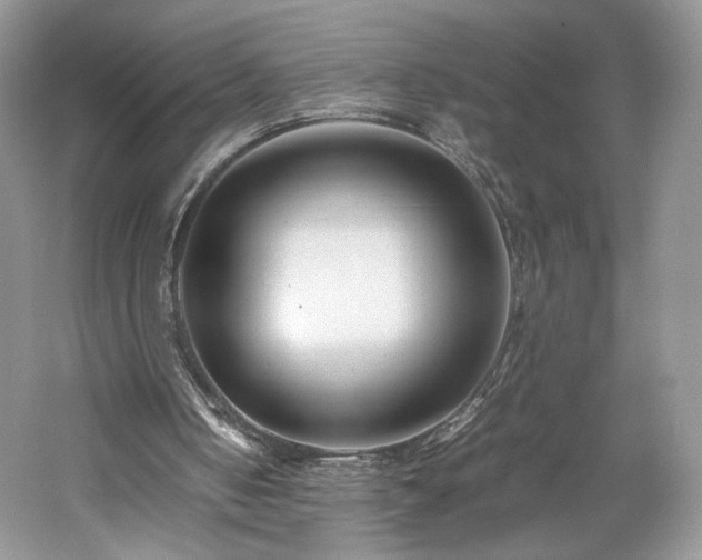 X0000061720050200512021350