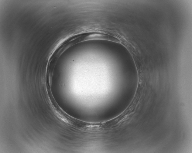 X0000061720052200512021350