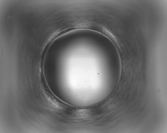 X0000061720059200512021350