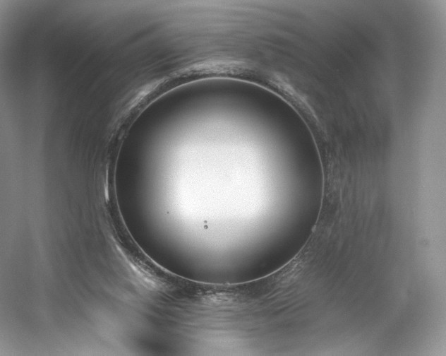 X0000061720062200512021350