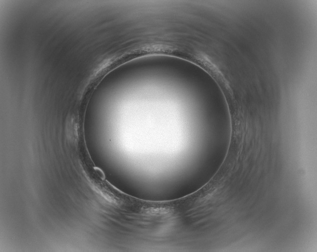 X0000061720063200512021350