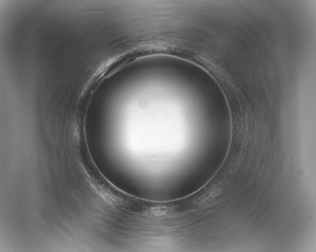 X0000061720064200512021350