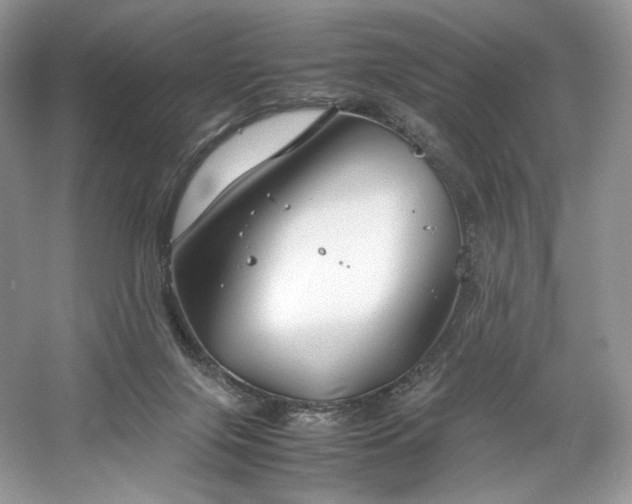 X0000061720071200512021350
