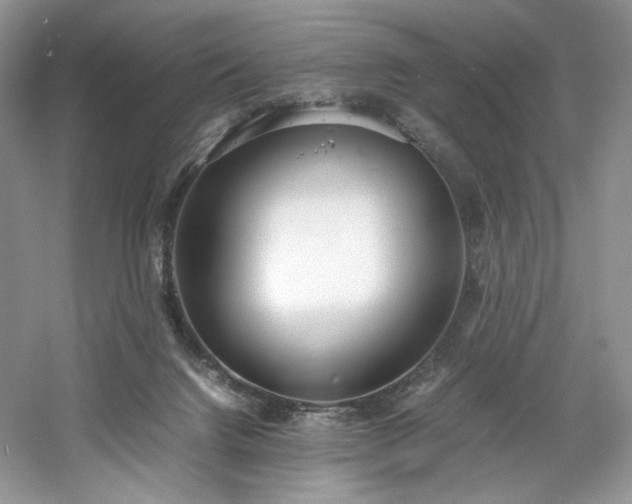 X0000061720072200512021350