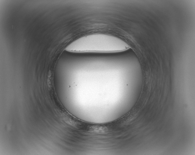 X0000061720073200512021350