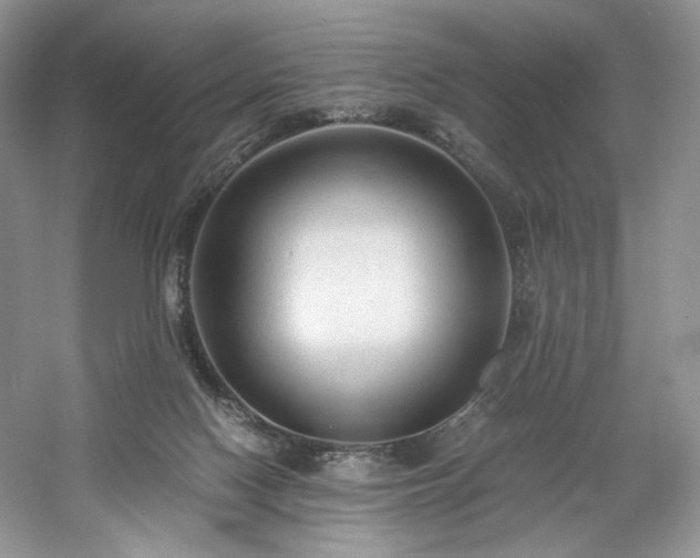 X0000061720074200512021350