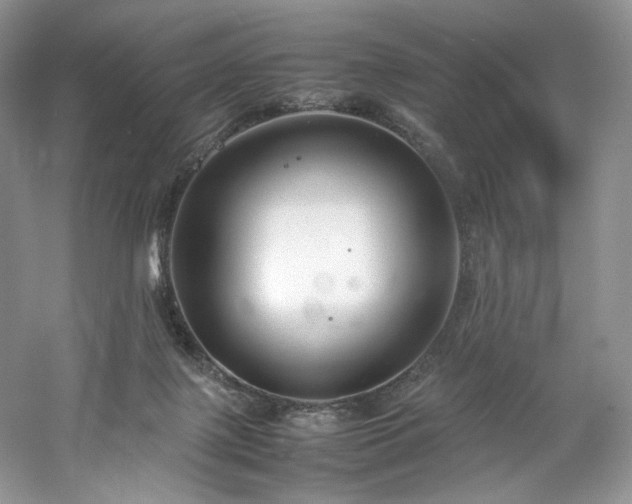 X0000061720075200512021350