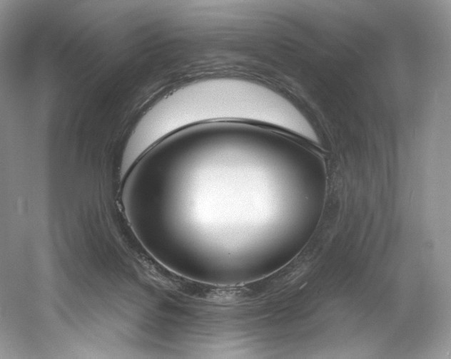 X0000061720076200512021350