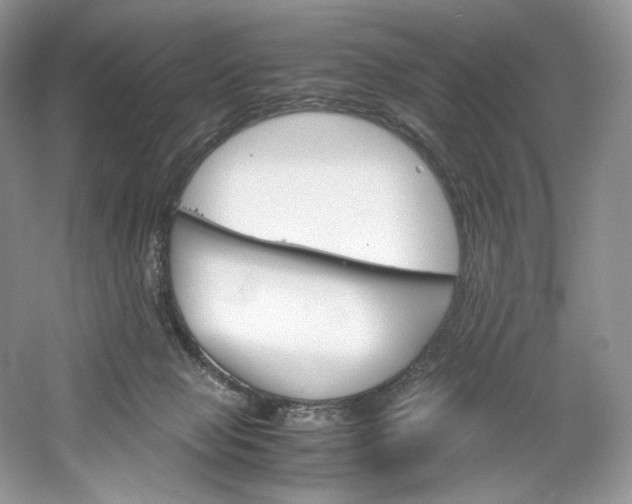 X0000061720077200512021350