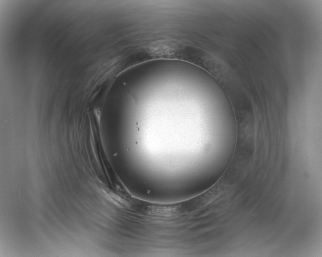 X0000061720081200512021350