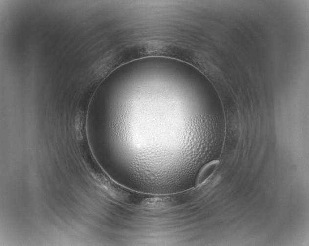 X0000061720082200512021350