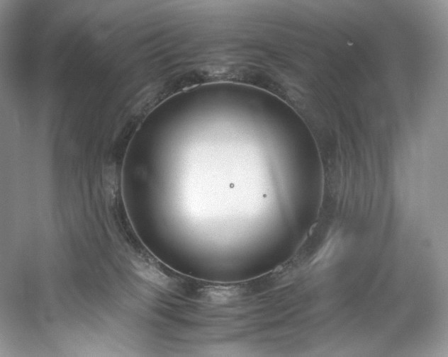X0000061720085200512021350