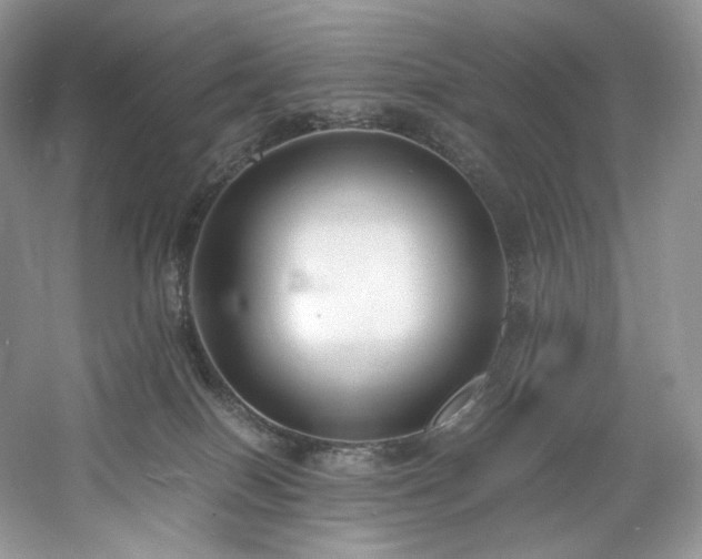 X0000061720086200512021350