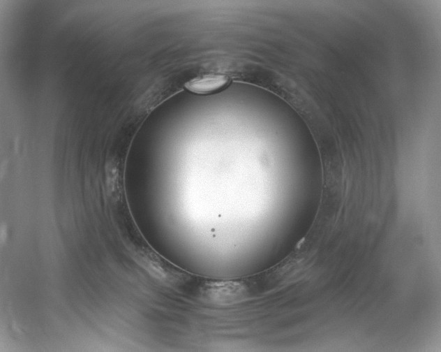 X0000061720087200512021351