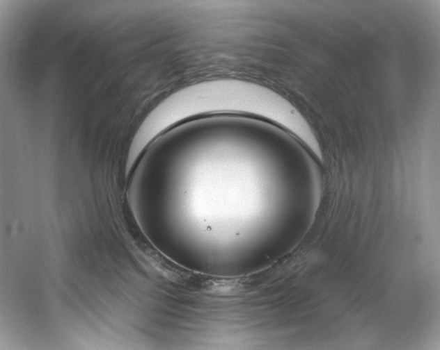 X0000061720088200512021351