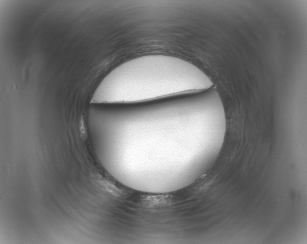 X0000061720089200512021351