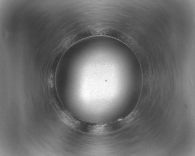 X0000061720090200512021351