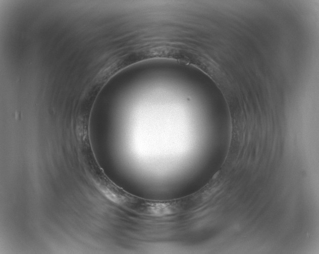 X0000061720091200512021351