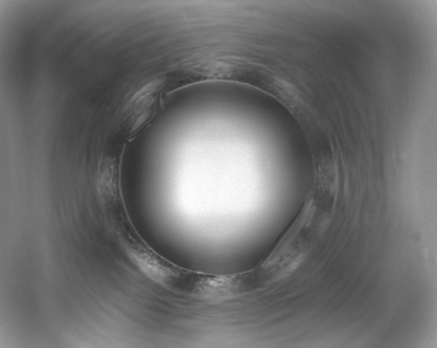 X0000061720092200512021351