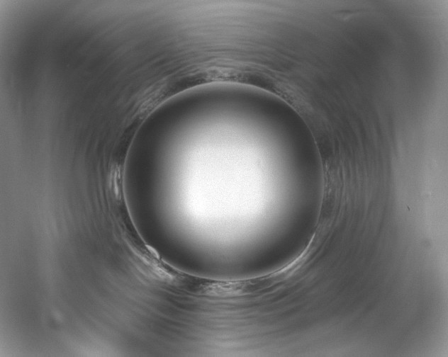 X0000061720094200512021351