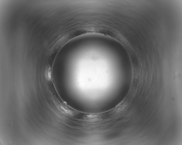 X0000061720095200512021351
