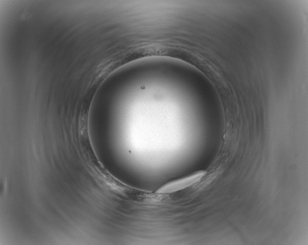 X0000061720096200512021351
