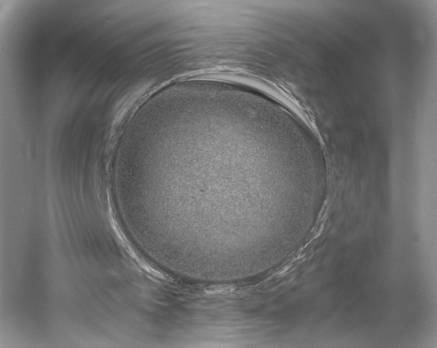 X0000061720097200512021350