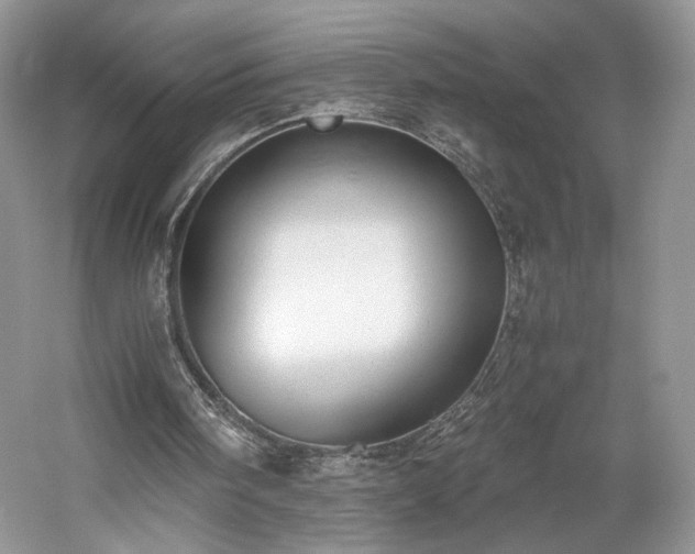 X0000061720098200512021350