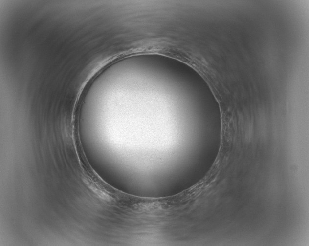 X0000061720100200512021350
